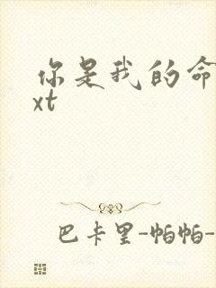 你是我的命运txt