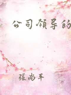 公司领导的老婆