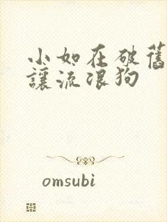 小如在破旧仓库让流浪狗