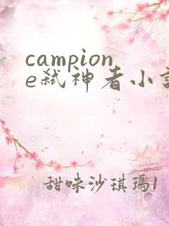 campione弑神者小说