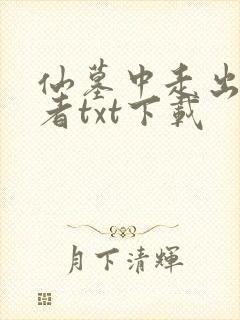 仙墓中走出的强者txt下载