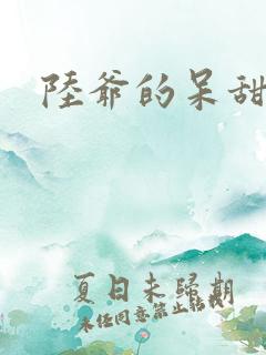 陆爷的呆甜萌妻