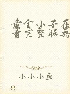 黄金小子在线观看完整版无删减高清