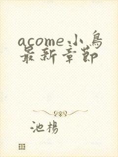 acome小鸟最新章节