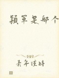 颖军是哪个军阀