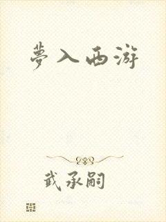 梦入西游