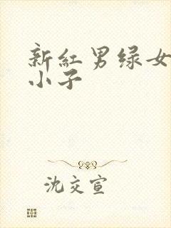 新红男绿女之坏小子