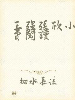 王强张欣小说免费阅读