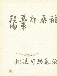 段嘉许桑稚浴室肉车