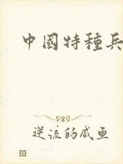 中国特种兵小说