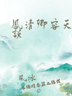 凤清卿容天凌小说