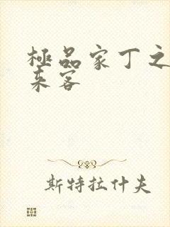 极品家丁之远方来客