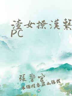 渣女撩汉系统NPC