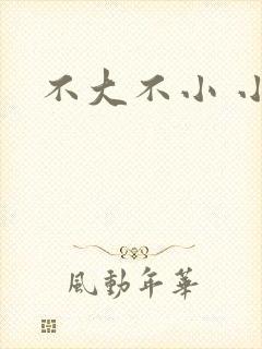 不大不小 小说