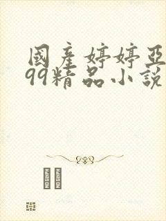 国产婷婷亚洲999精品小说