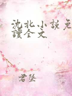 沈北小说免费阅读全文