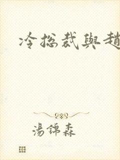 冷总裁与赵大牌