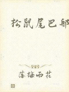 松鼠尾巴那么软