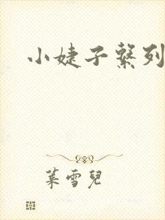 小婕子系列小说