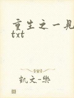 重生之一见倾心txt