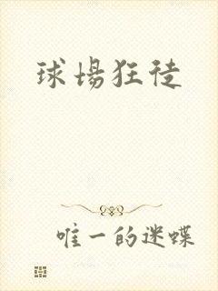 球场狂徒