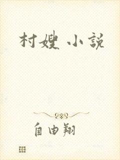 村嫂 小说