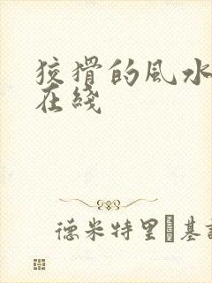 狡猾的风水相师在线