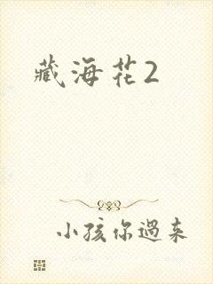 藏海花2
