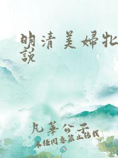 明清美妇牝户小说