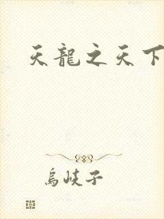天龙之天下有我