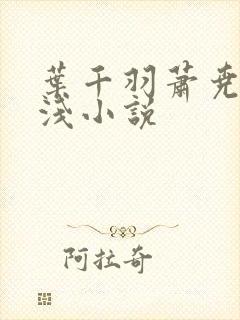 叶千羽萧尧白清浅小说