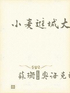 小麦进城大结局