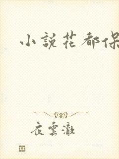小说花都保镖