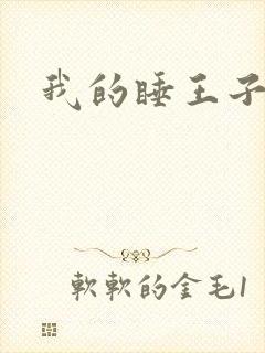 我的睡王子殿下