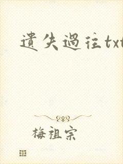 遗失过往txt