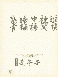 熟睡中被进了H青梅诱哄视频