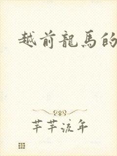 越前龙马的小说