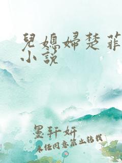 儿媳妇楚菲菲的小说