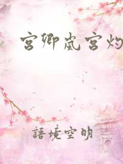 宫卿岚宫灼小说