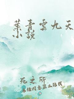 叶青云九天玄宗小说