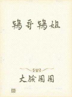 鸨哥鸨姐