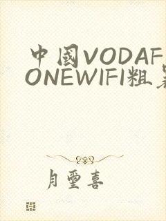 中国VODAFONEWIFI粗暴APP