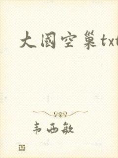 大国空巢txt