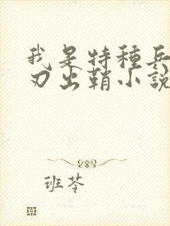 我是特种兵之利刃出鞘小说