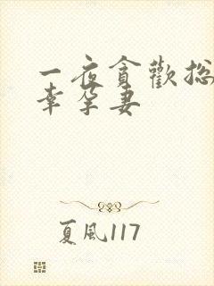 一夜贪欢总裁的幸孕妻