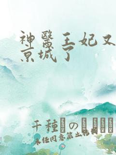 神医王妃又轰动京城了