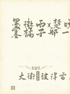 墨微雨x楚晚宁塞橘子哪一章