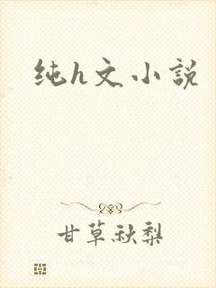 纯h文小说