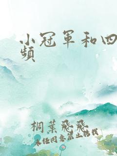 小冠军和四哥视频