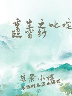 重生之叱咤风云临窗纱